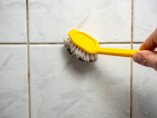 Best Best Mold Removal Companies  in Osage, IA