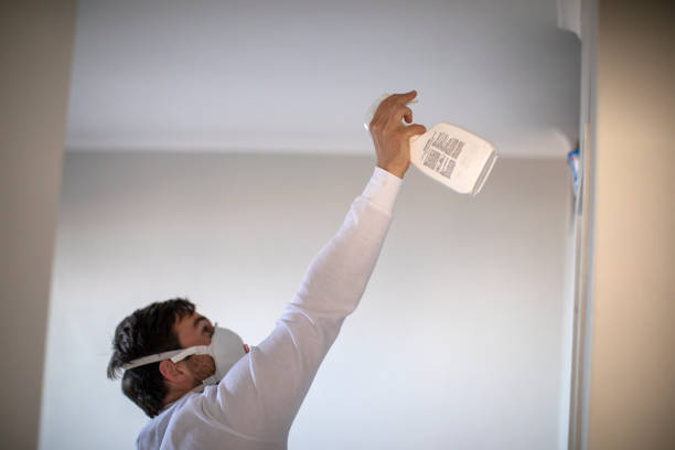 Best Professional Mold Removal  in Osage, IA