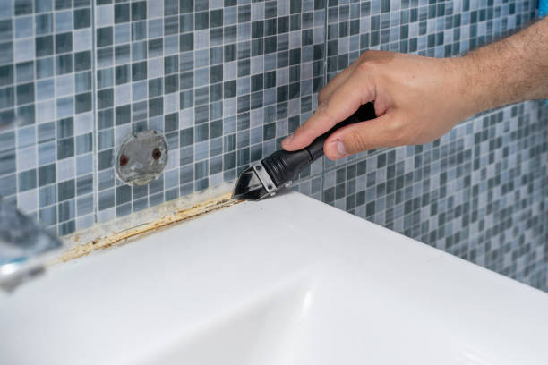 Best Residential Mold Removal  in Osage, IA