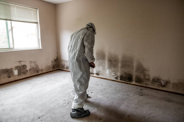 Best Mold Testing  in Osage, IA